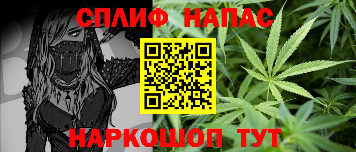 Псилоцибиновые грибы Россия